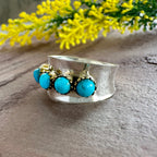 Crown Oasis Turquoise Spinner Ring in 925 Sterling Silve