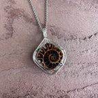 Ancient Echo Fossil Pendant