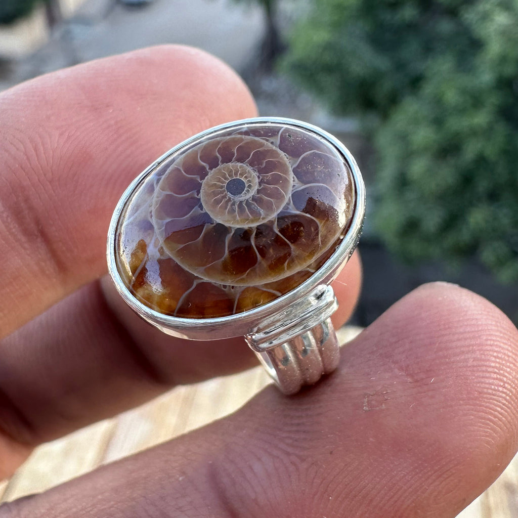 Spiral of Amber Ring| Handcrafted 925 Silver