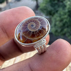 Spiral of Amber Ring| Handcrafted 925 Silver
