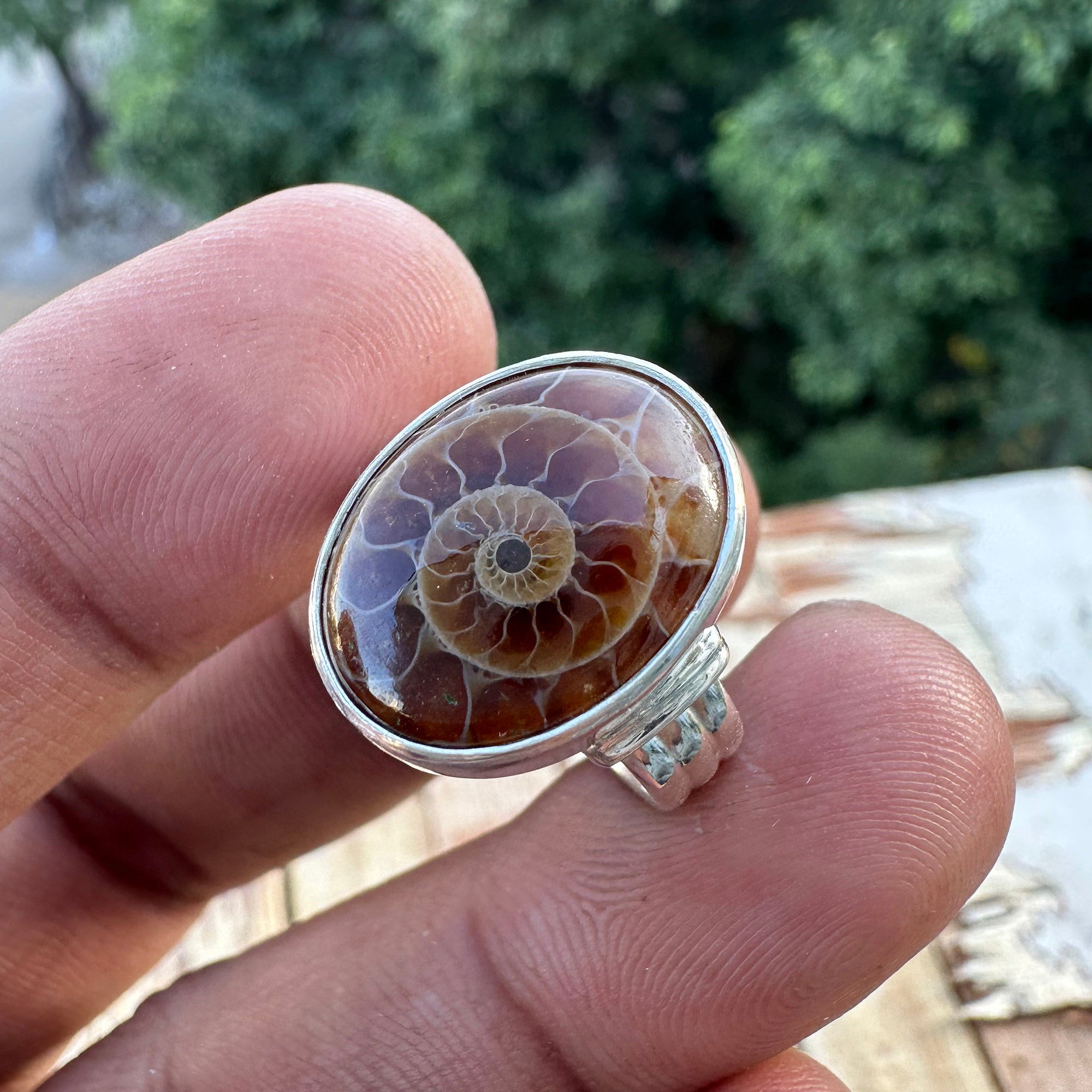 Spiral of Amber Ring| Handcrafted 925 Silver