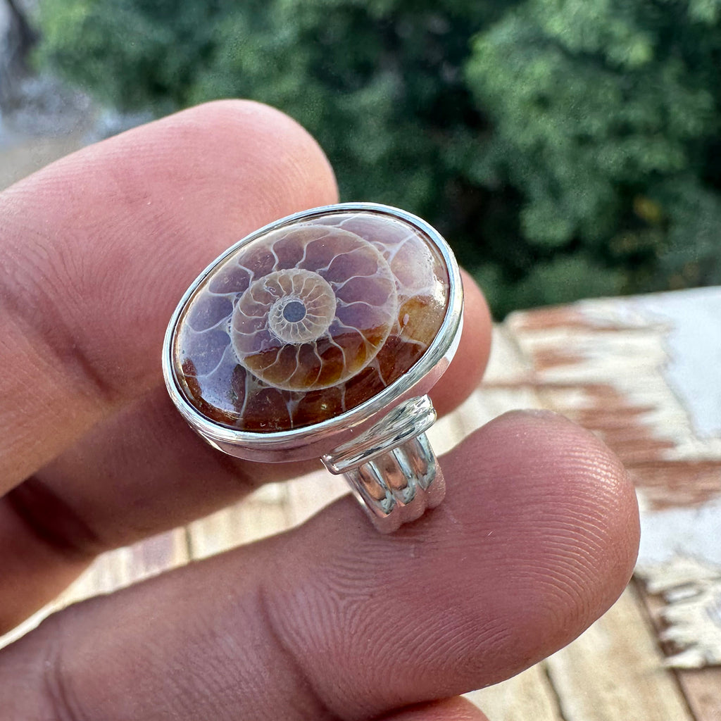 Spiral of Amber Ring| Handcrafted 925 Silver