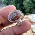 Spiral of Amber Ring| Handcrafted 925 Silver