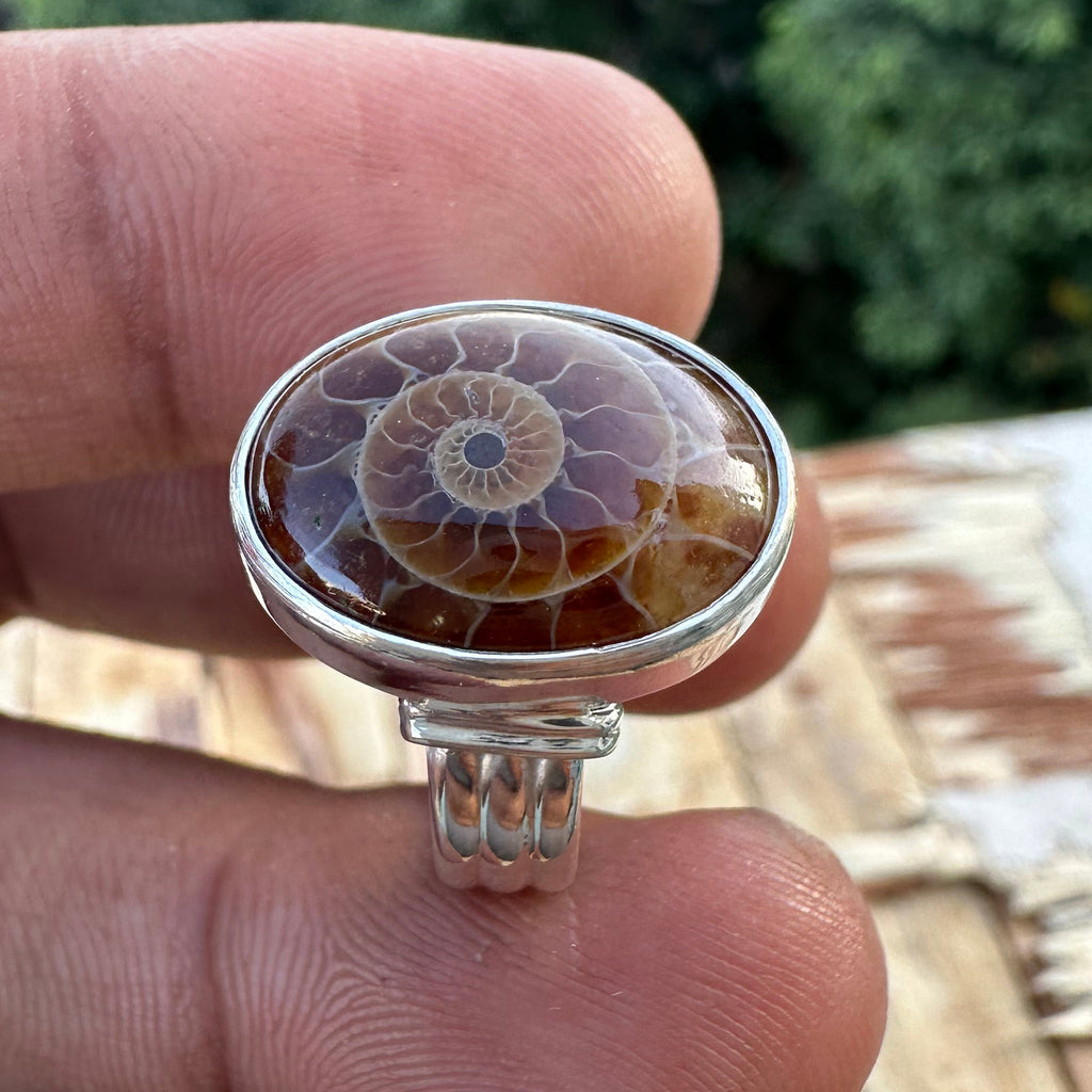 Spiral of Amber Ring| Handcrafted 925 Silver