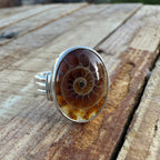 Spiral of Amber Ring| Handcrafted 925 Silver