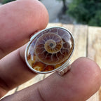 Spiral of Amber Ring| Handcrafted 925 Silver