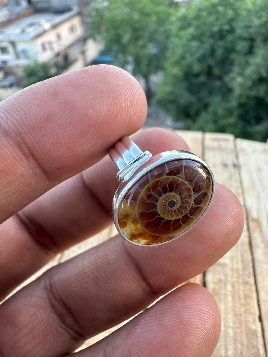 Spiral of Amber Ring| Handcrafted 925 Silver