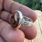 Spiral of Amber Ring| Handcrafted 925 Silver